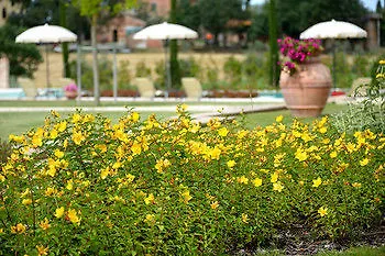 La Fiorita Casa di campagna